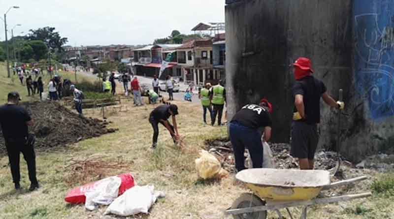 Limpiando y recogiendo basura en la siembra de jardines en el barrio Alfonso López | Lo que pasa en Alfonso López - Cali