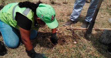 Siembra de jardines en el barrio Alfonso López | Lo que pasa en Alfonso López - Cali